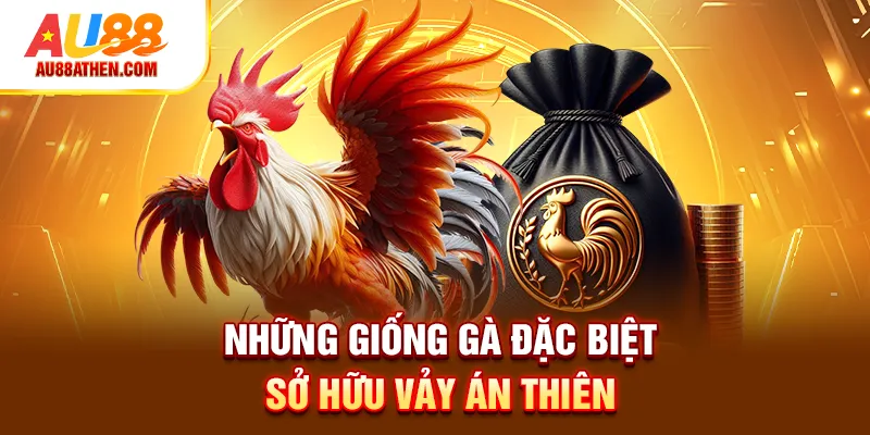 Những giống gà đặc biệt sở hữu vảy án thiên